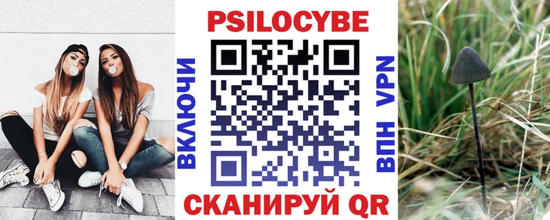 наркотики  блэк спрут зеркало  Галлюциногенные грибы мицелий  Щёлкино 